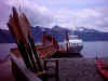 day cruise, cook inlet, seward, ak2.jpg (47585 bytes)