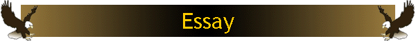 Essay