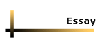 Essay