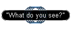 "What do you see?"