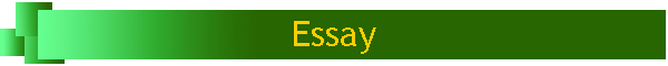 Essay