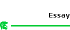 Essay
