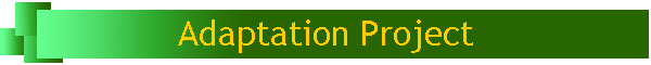 Adaptation Project