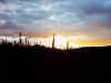 midnight sun , yukon.jpg (22878 bytes)
